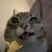 RAIDEXED
