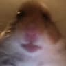 Diuleiloumou