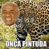 Onça Pintuda.xereca.bet