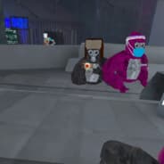 GrayLiptonVR