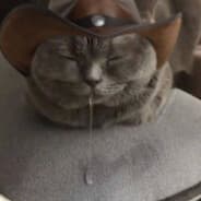 Ditli