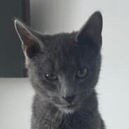 marley