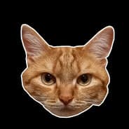 MadCat