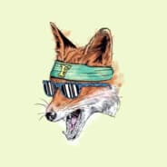Vulpe