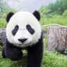 YarinTzZz