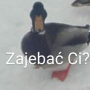 KONDZIO NA SZYPK