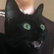 Me4tSt1ck
