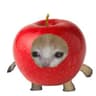 ilwhmgswo