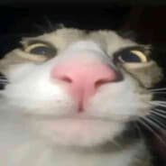 Erxnn