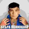 bebra