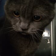 sashastorm