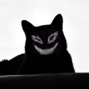 the_morim