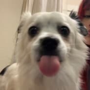 rori