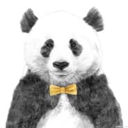 I am panda