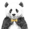 I am panda