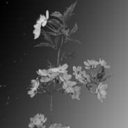 ♠Hypnos