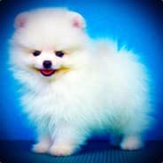 poozi