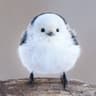 Jiny