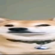 wideshiba