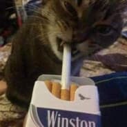 zxdffsda
