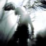angelwings