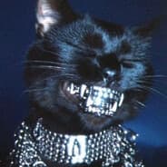 gato