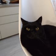 greenstraypheer