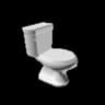 Polish Toilet