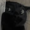 Kit Kat