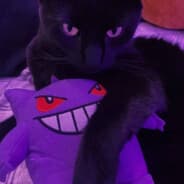XeRpozItiVa