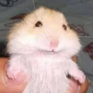 yuki