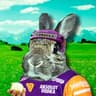 Crouching Rabbit