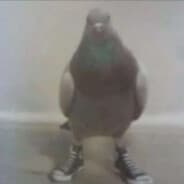 Roberto