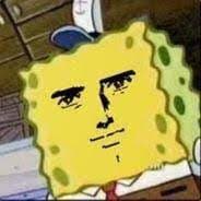 Sponge