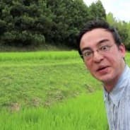 Rice Field Homie