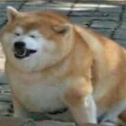grat