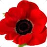 Poppy
