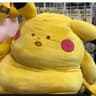 pikaminister