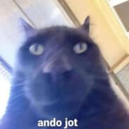 Liondro