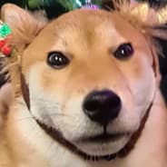 Ruben