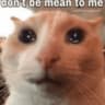dont be mean to me