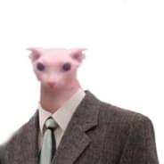 ydoc