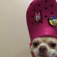 Goopie