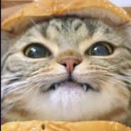 GetFloriaN_TTV