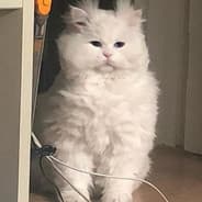 AZKi