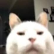 Habibi????????????????