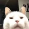 Habibi????????????????