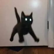 xx