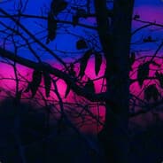 REDЯUM (𝖎 𝖓𝖊𝖛𝖊𝖗 𝖒𝖎𝖘𝖘)