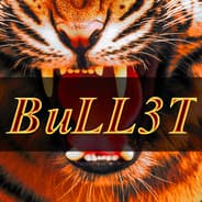 BuLL3T